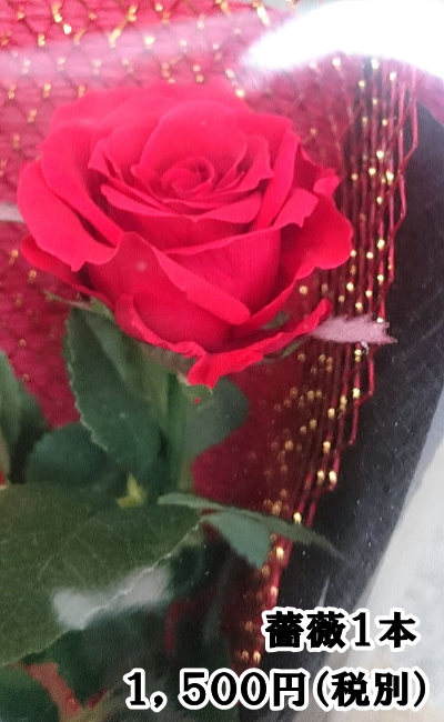 バラ　薔薇　プロポーズ　プレゼント　スペースワールド